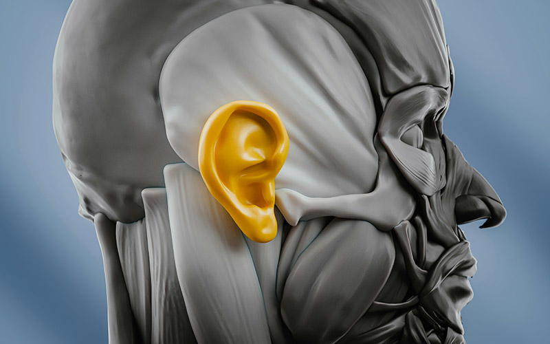 Esame-vibratorio-mastoideo