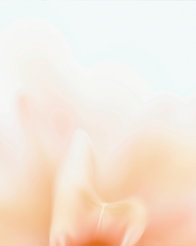 Prove-tubariche-verticale